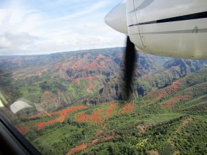 kauai entire island air tour