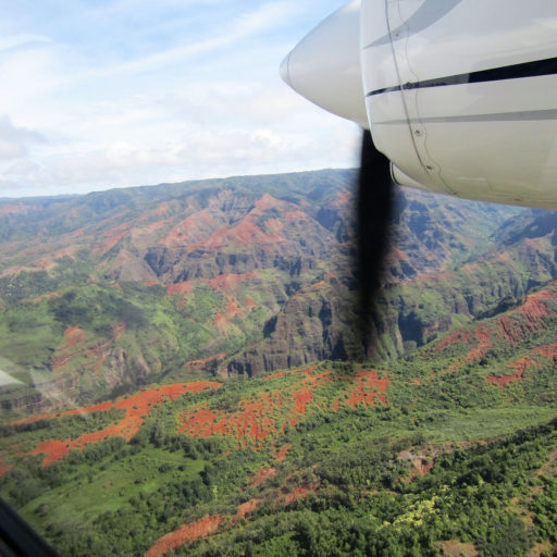 Kauai Entire Island Air Tour