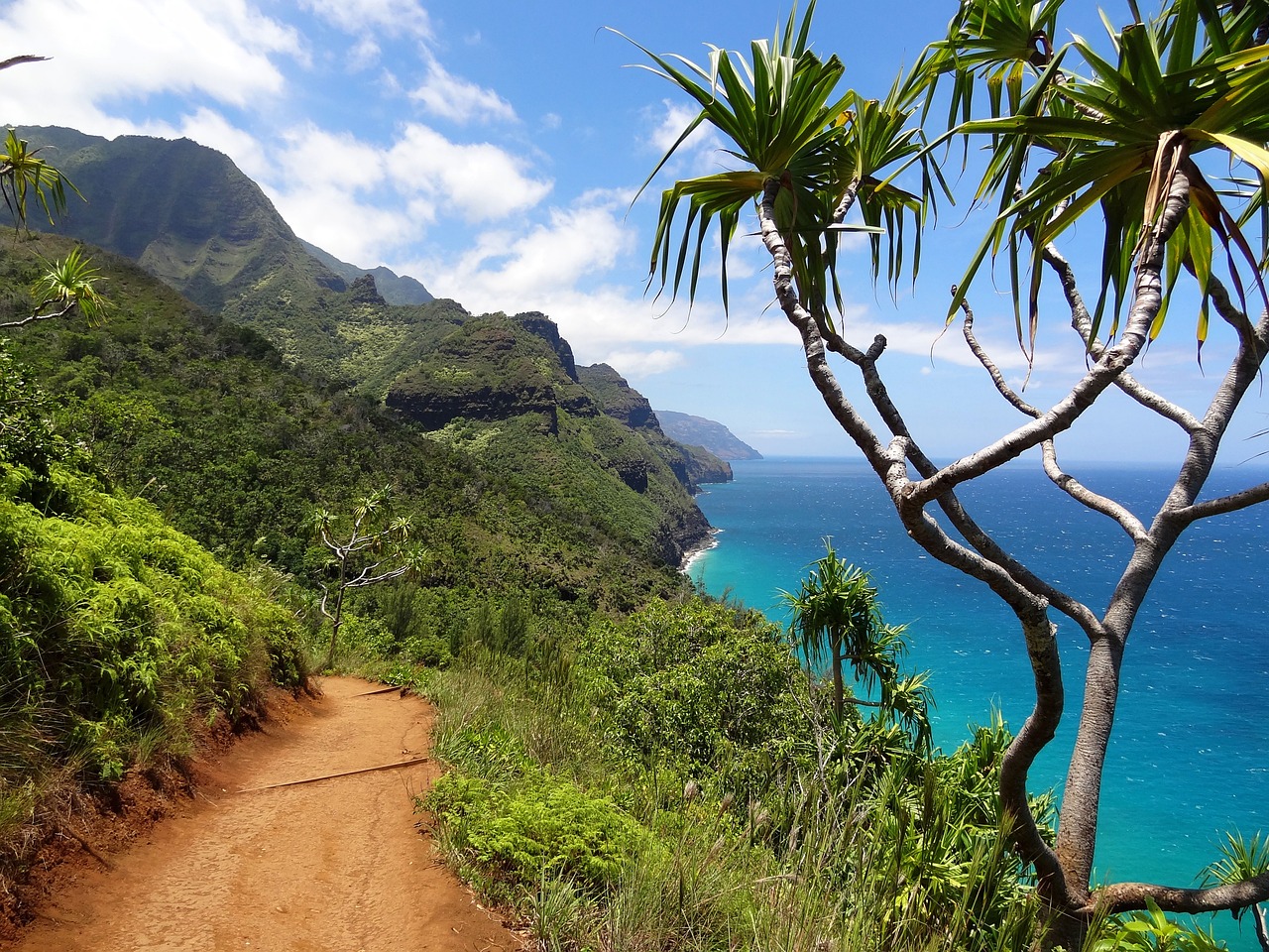 What To Do In Kauai In June