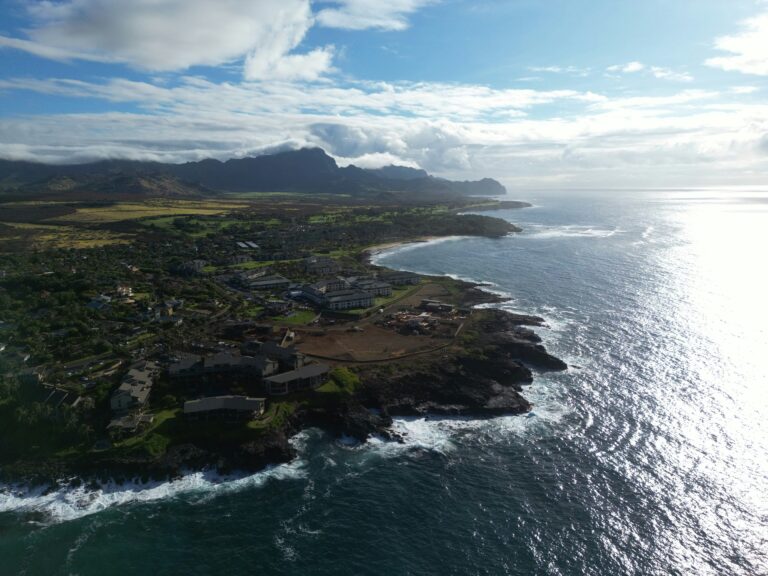 Kauai whale watching air tour