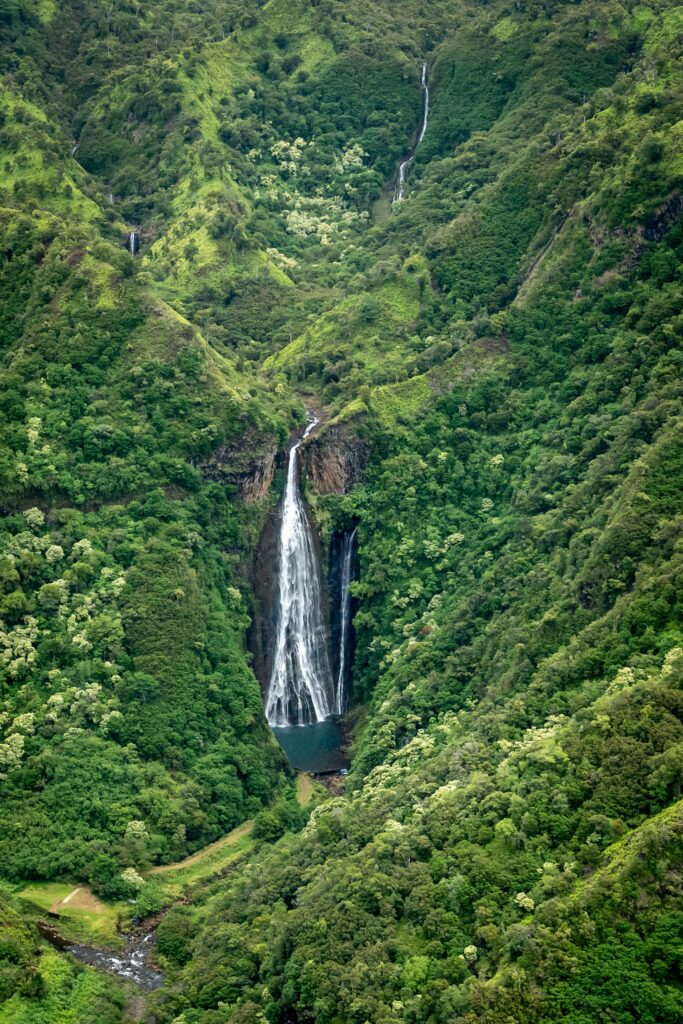 Jurassic Falls Helicopter Tour