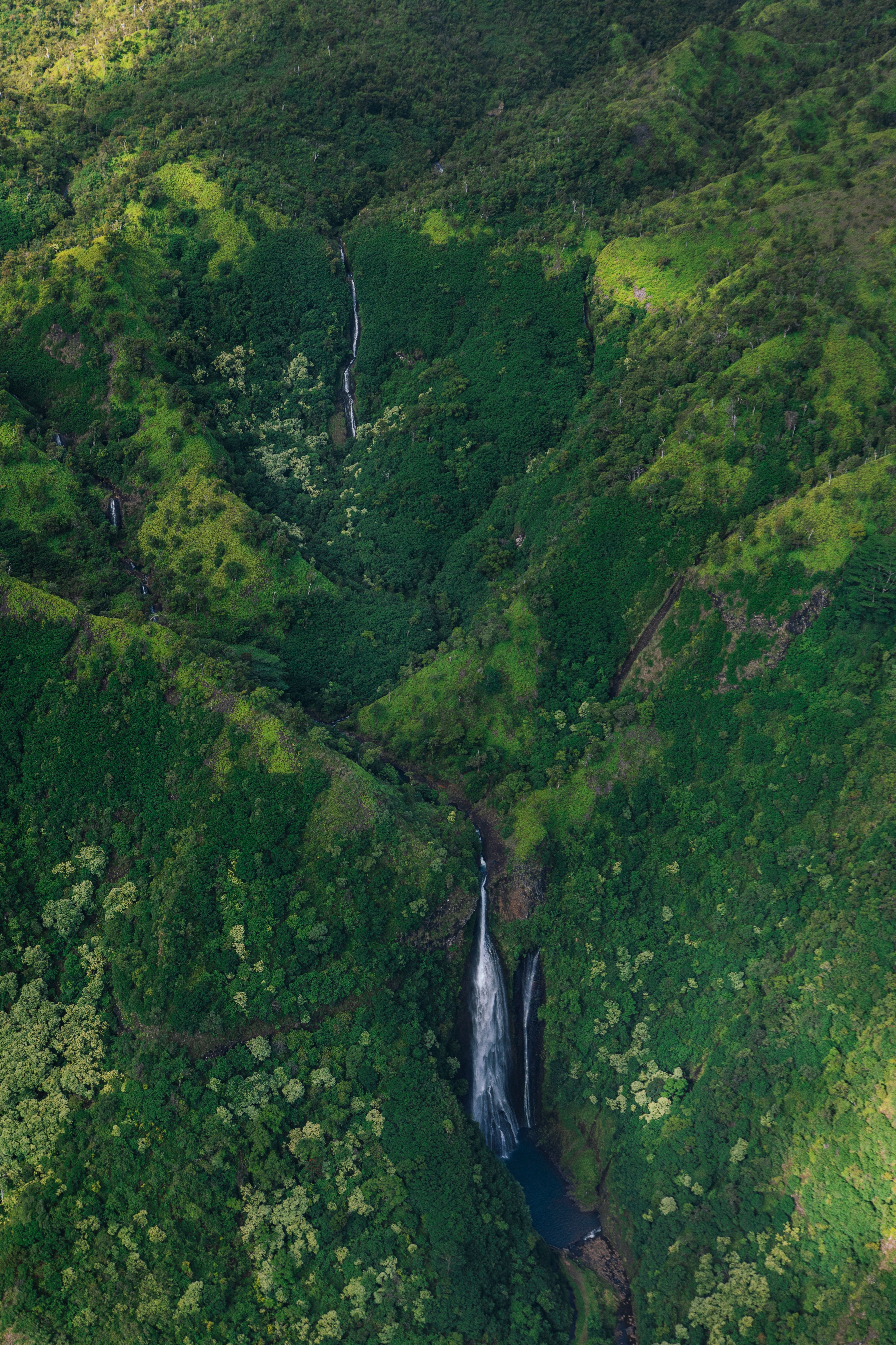 Kauai Jurassic Air Tours