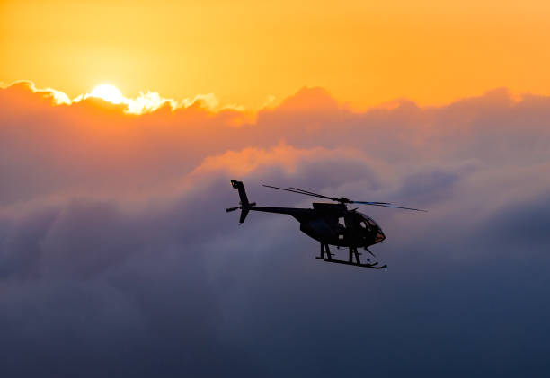 Best Kauai Helicopter Tours With No Doors
